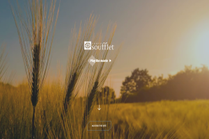 GROUP SOUFFLET LAUNCHED A NEW WEBSITE